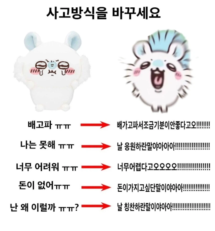 사고방식을 모몽가처럼 바꾸세요_1.webp