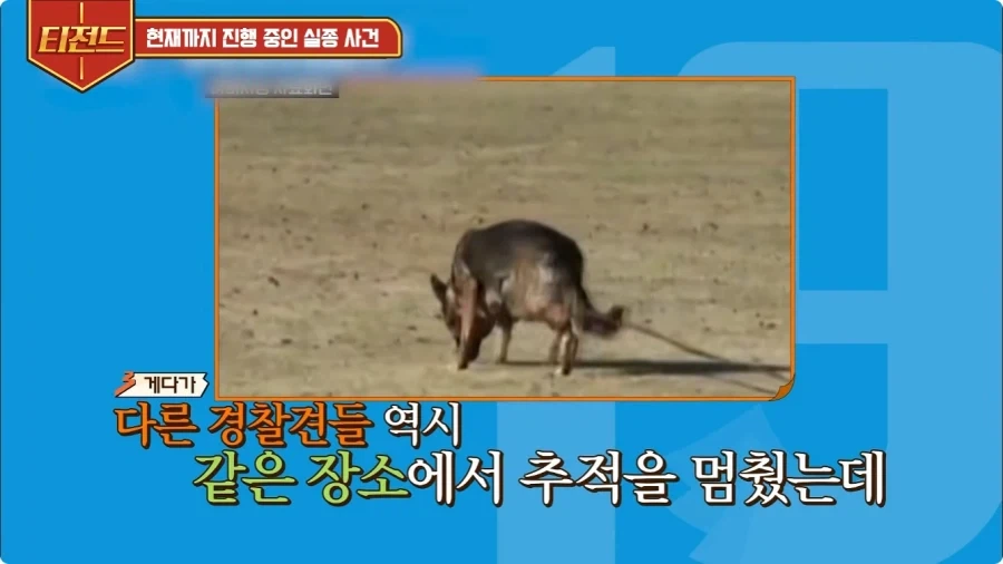 2005년 일본에 있었던 실종 사건.jpg_22.webp