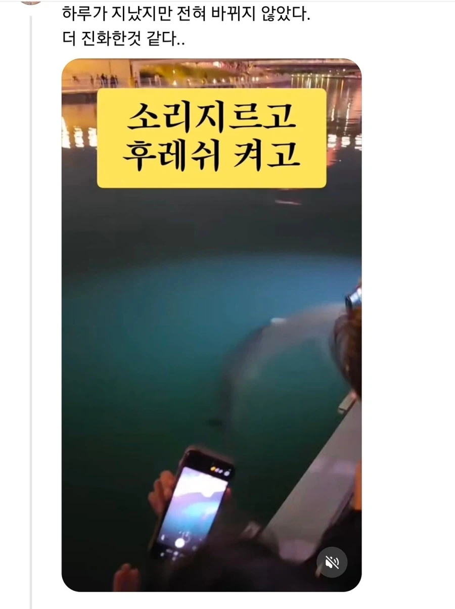 부산 상어 부캉이의 인기가 높아지며 나타나는......_2.webp