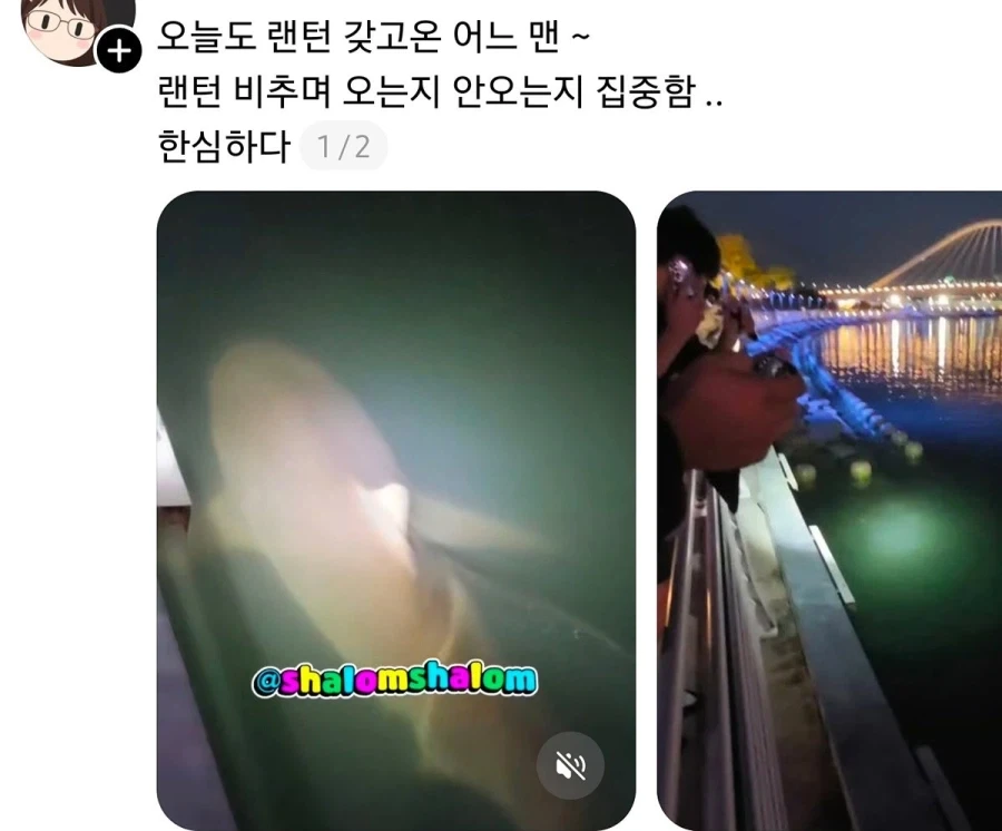 부산 상어 부캉이의 인기가 높아지며 나타나는......_3.webp