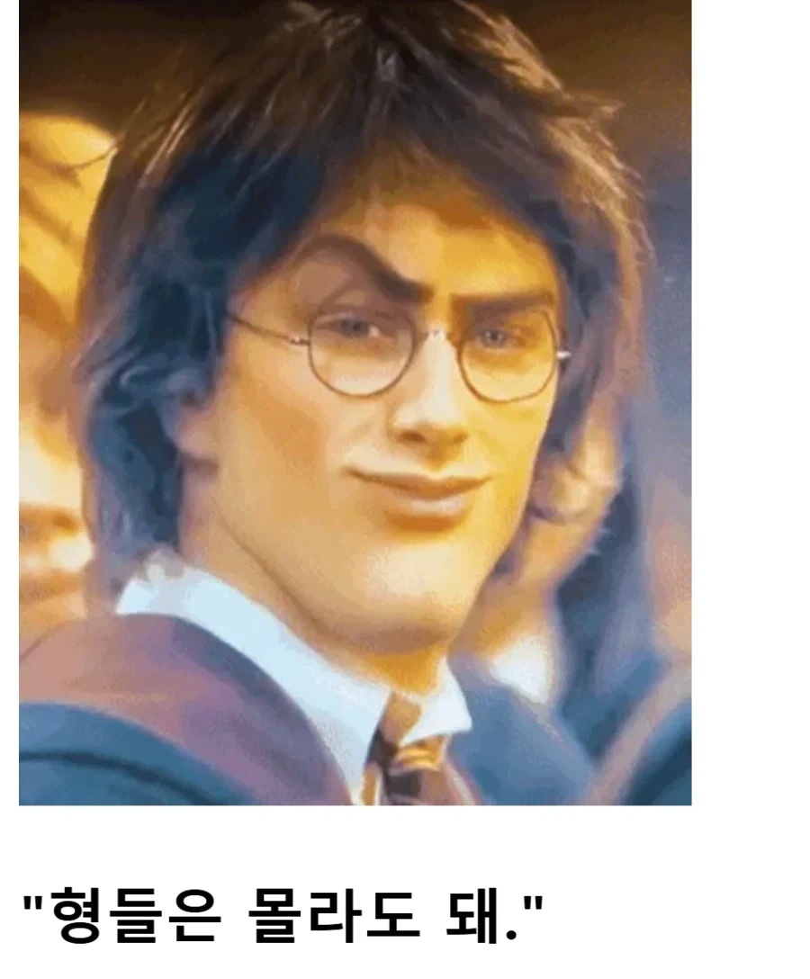 해리포터TS) 위즐리 쌍둥이 가게에서 VIP가 된 해리.JPG_3.webp