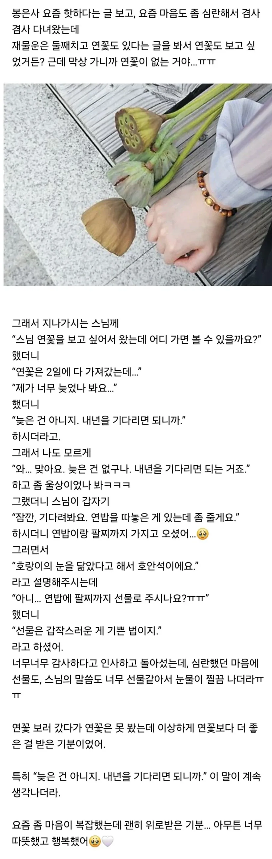 봉은사 갔다가 엄청 힐링받고 왔어...._1.webp