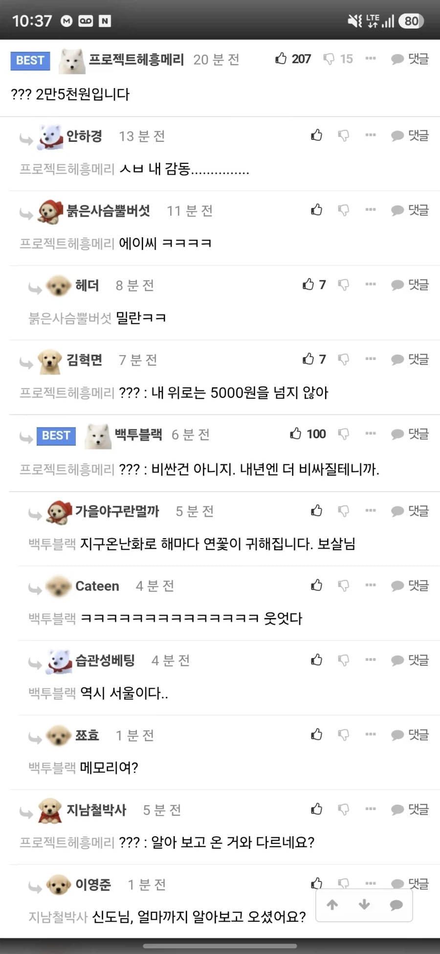 봉은사 갔다가 엄청 힐링받고 왔어...._2.webp