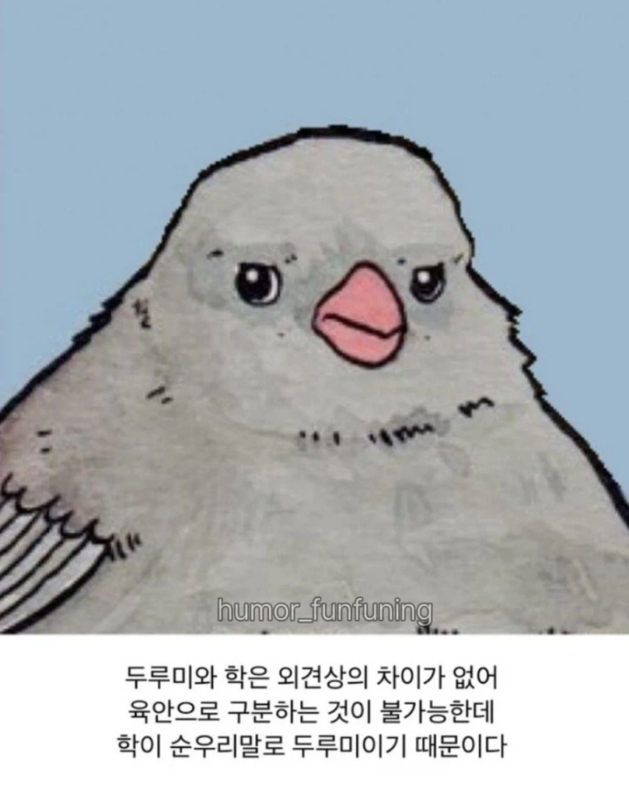 학과 두루미를 구분하기 어려운 이유_4.webp