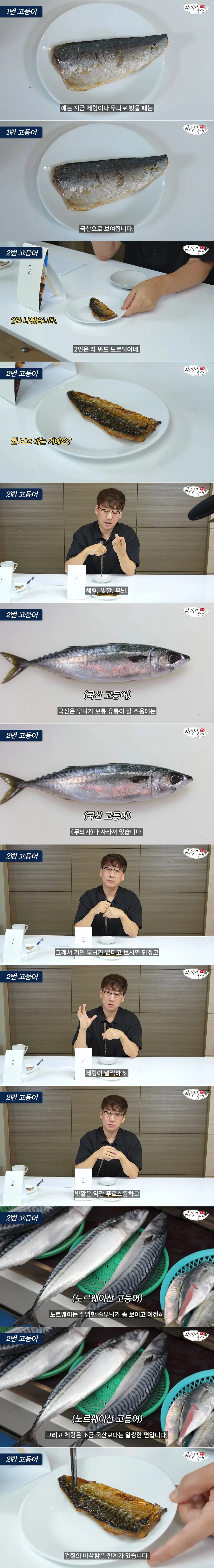 고등어 국산/노르웨이산 구별방법..._1.webp