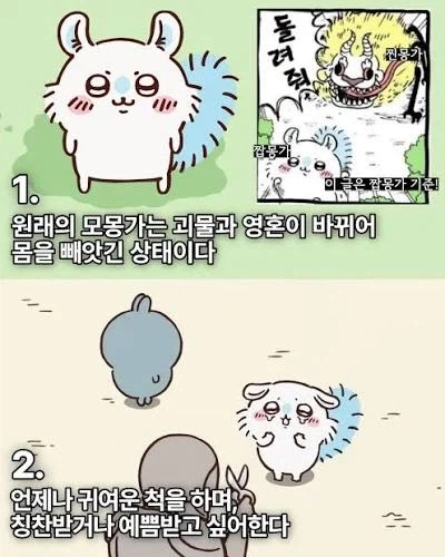 치이카와)알고나면 더 재미있는 세계관_6.webp