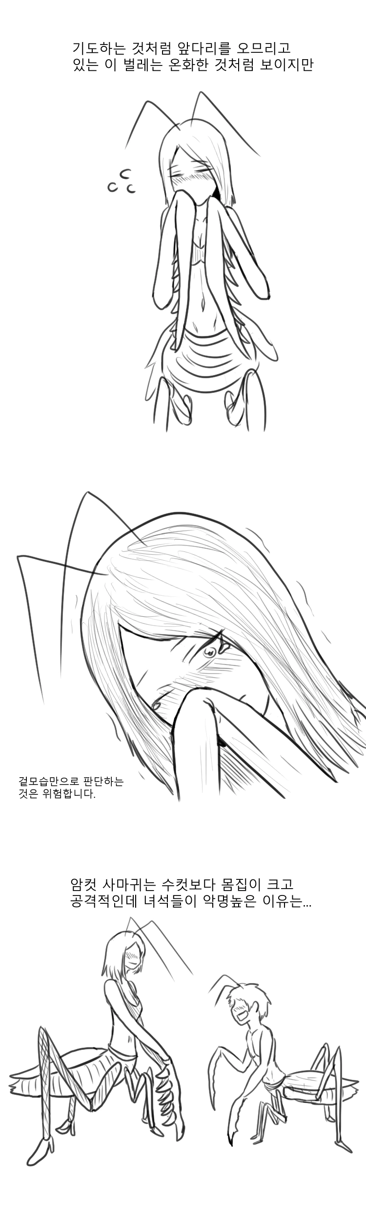 manga_485629_001.webp
