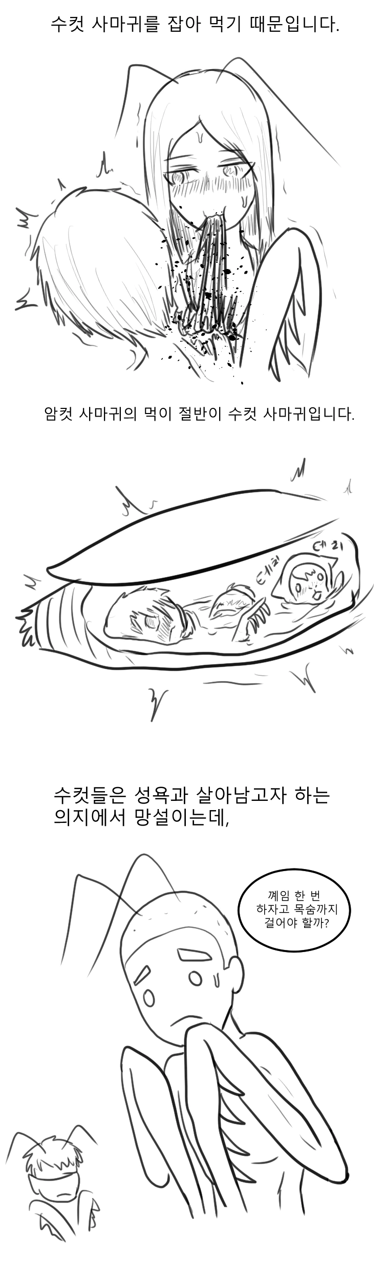 manga_485629_002.webp