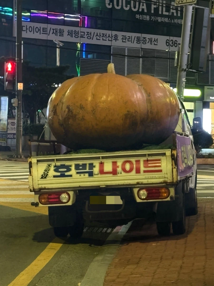 어느 나이트클럽의 아주 직관적인 홍보물_1.webp