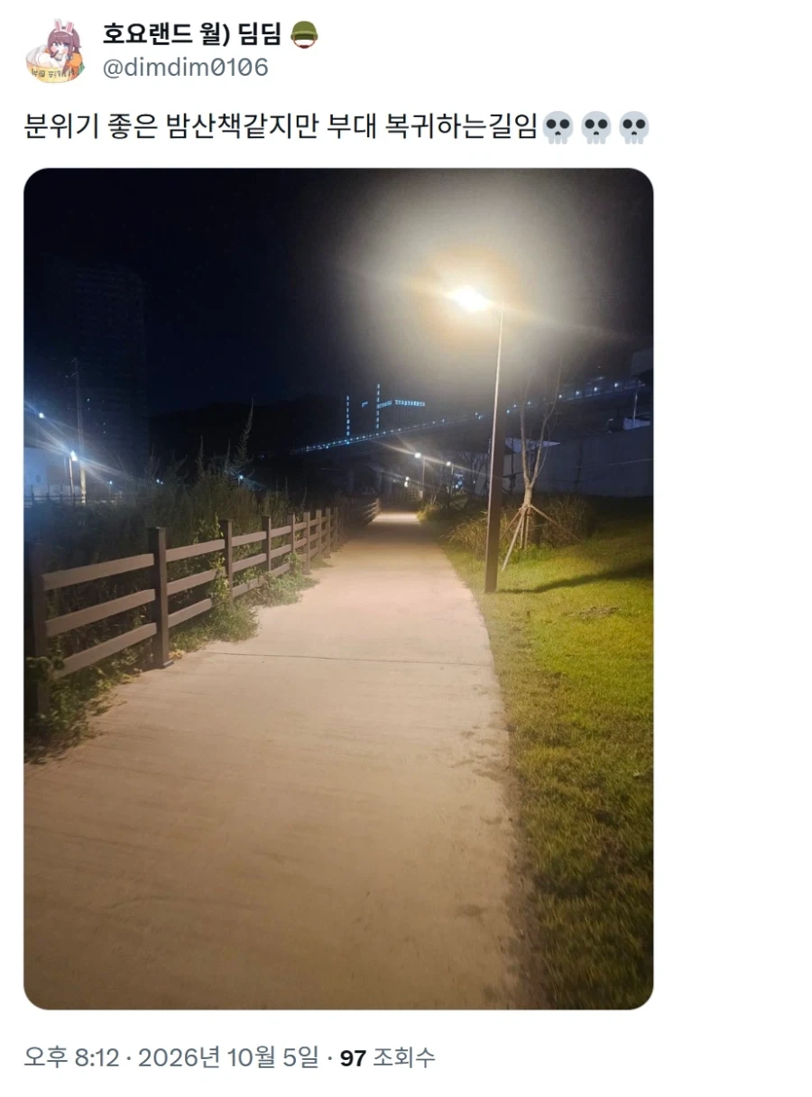 분위기 좋은 밤 산책길.jpg_1.webp