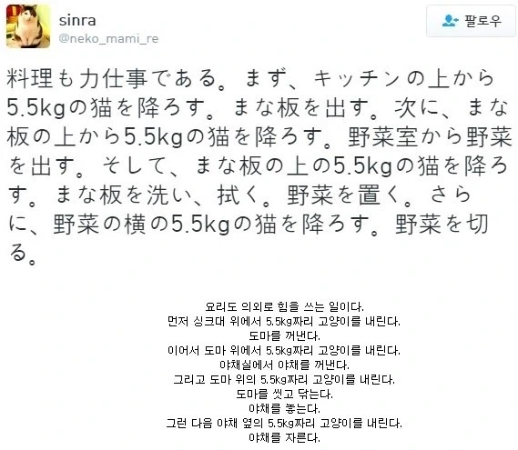 요리에서 5.5kg을 들어야 하는 이유.jpg_1.webp