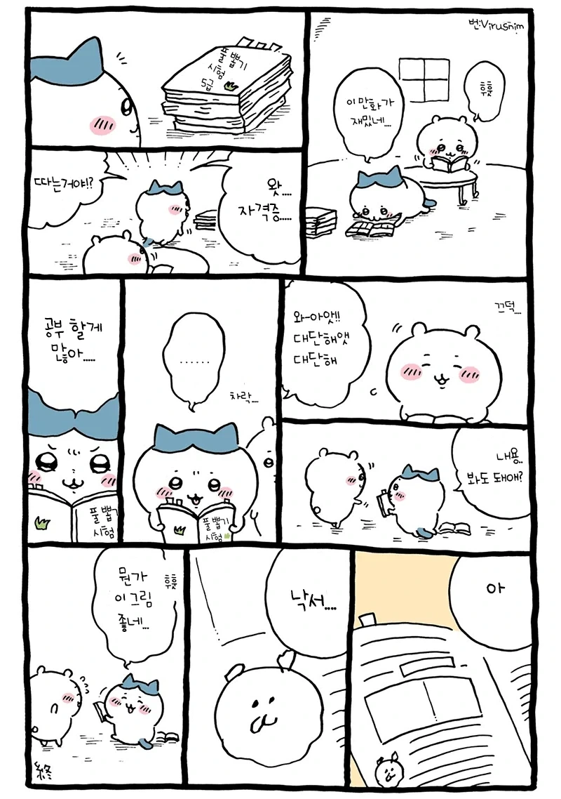 치이카와)알고보면 전문직일수도 있는거_1.webp