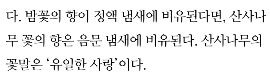 해리포터) ts 말포이는 심기체 처녀론 합격임_7.webp