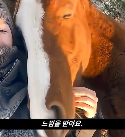 말이 사람을 좋아할때 보내는 신호_24.webp