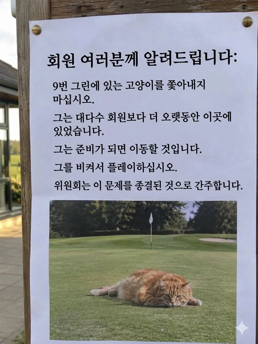 어느 골프장의 안내문..._2.webp
