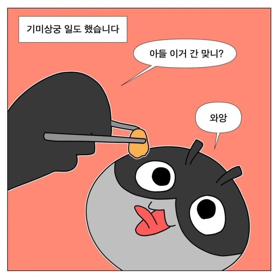 명절만 되면 벌어지는 일_5.webp