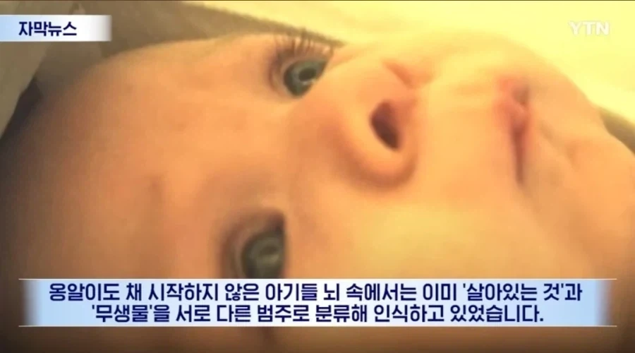 신생아들 정서 학대를 하면 절대 안되는 이유_3.webp