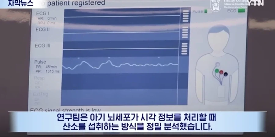 신생아들 정서 학대를 하면 절대 안되는 이유_4.webp
