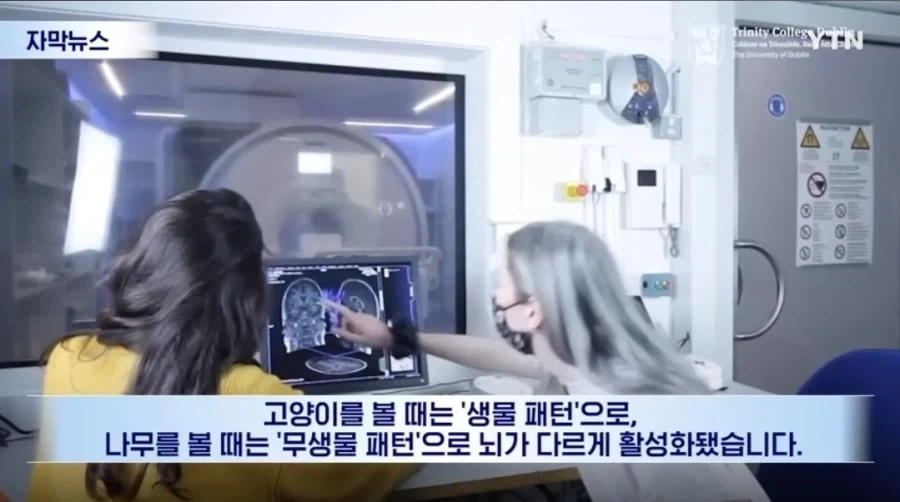 신생아들 정서 학대를 하면 절대 안되는 이유_5.webp