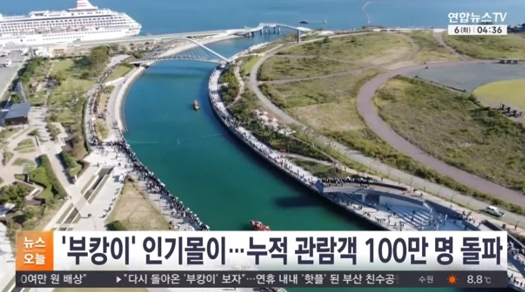부산 상어공원 방문객수 100만명 돌파.jpg_1.webp