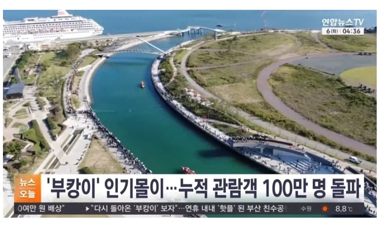 어느 순간 부터 부캉이랑 비교하지 않게 된 것_1.webp