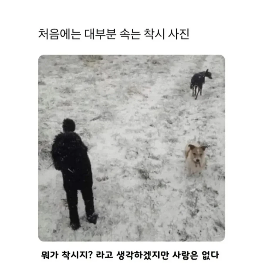 대부분 속는 착시 사진_1.webp