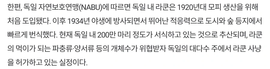 차라리 농심이 나았지_4.webp