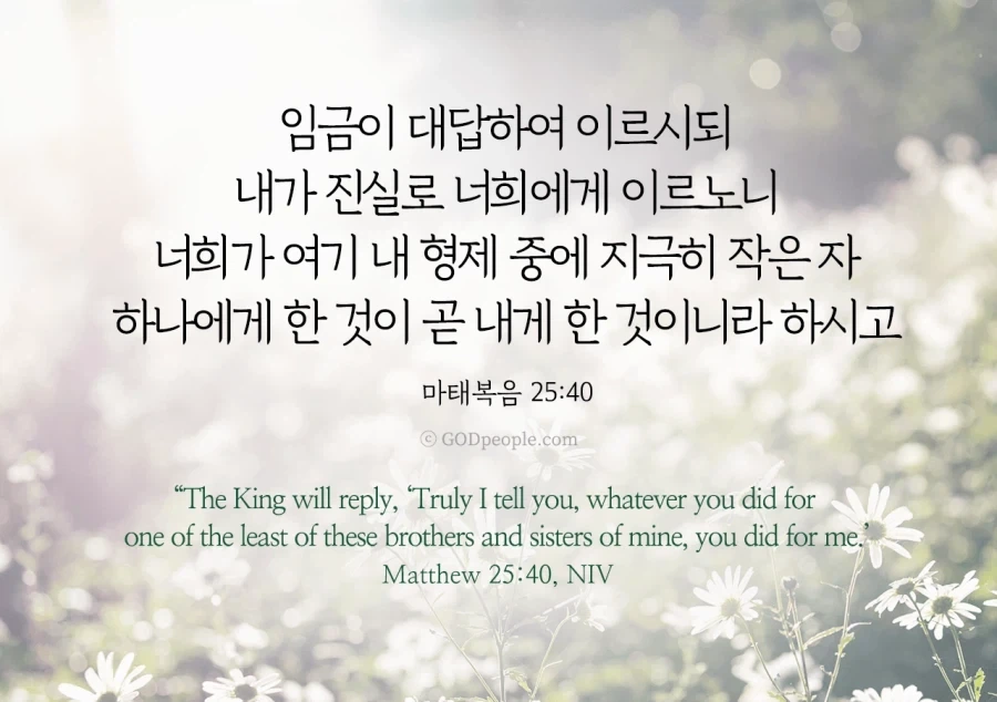 학교폭력의 방관자라고 지원자 탈락시킨 기독교 대학_4.webp