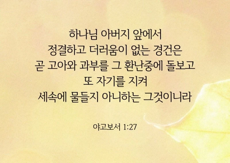 학교폭력의 방관자라고 지원자 탈락시킨 기독교 대학_5.webp