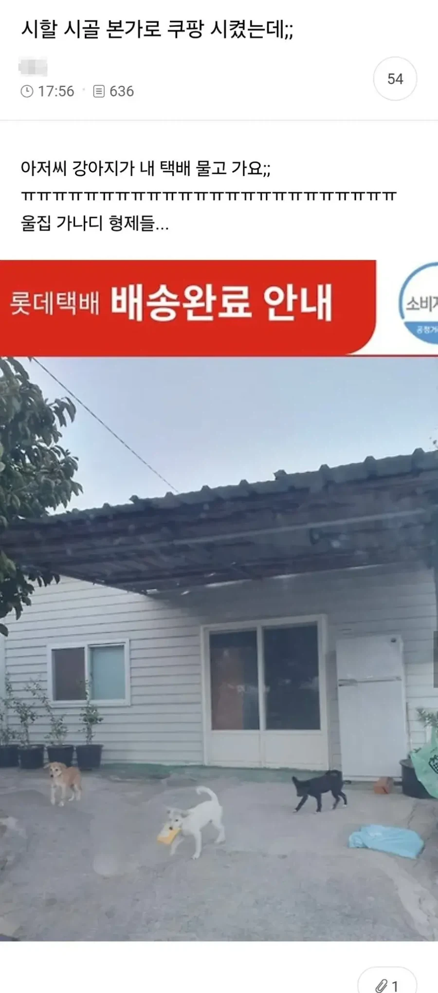 택배 배송완료 사진 레전드 갱신_1.webp