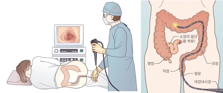 직장인_1.webp