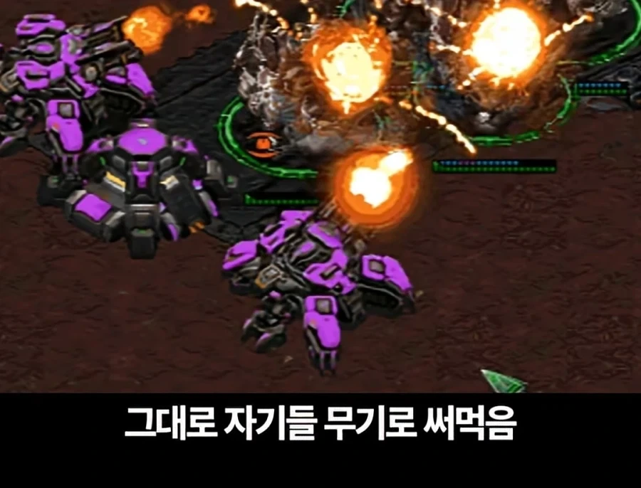 스타크래프트 최강세력은 따로 있었다_15.webp