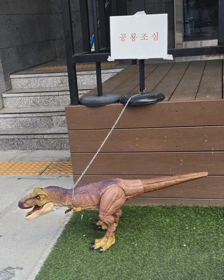 길거리 다닐때 조심해야 하는 거.jpg_1.webp