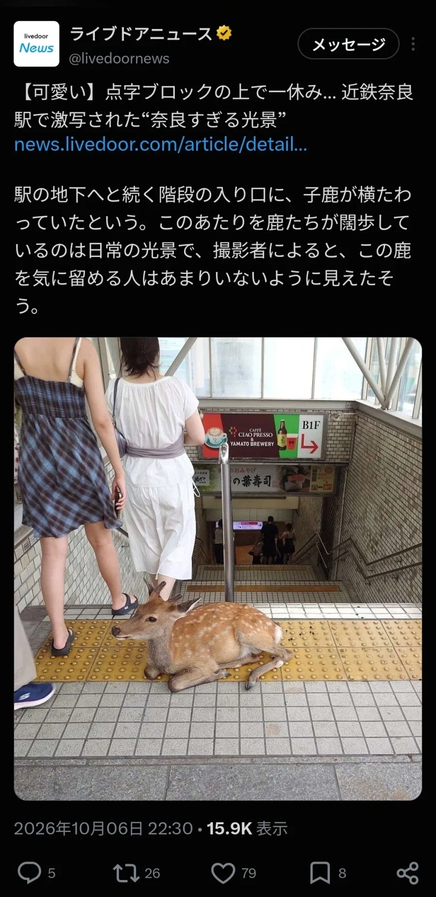 일본 나라현이어서 가능한 광?경_1.webp