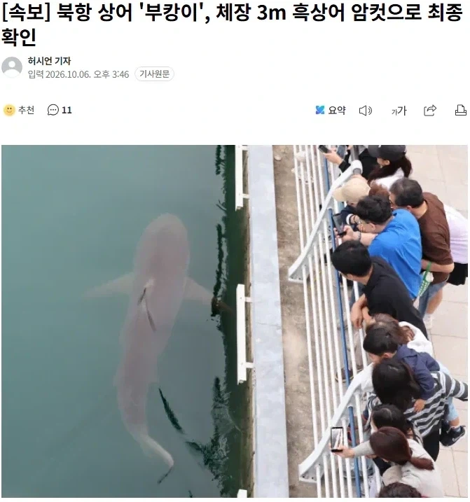 부캉이가 암컷인 건 어떻게 알았을까_1.webp