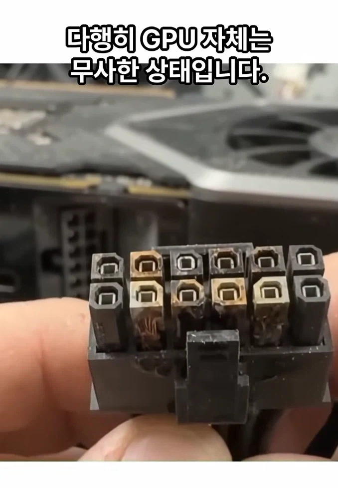2천만원짜리 글카도 피해가지 못한 그것_15.webp