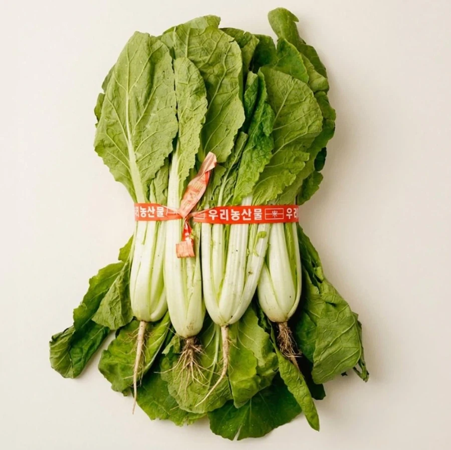 이름이 두가지 인 배추.jpg_1.webp