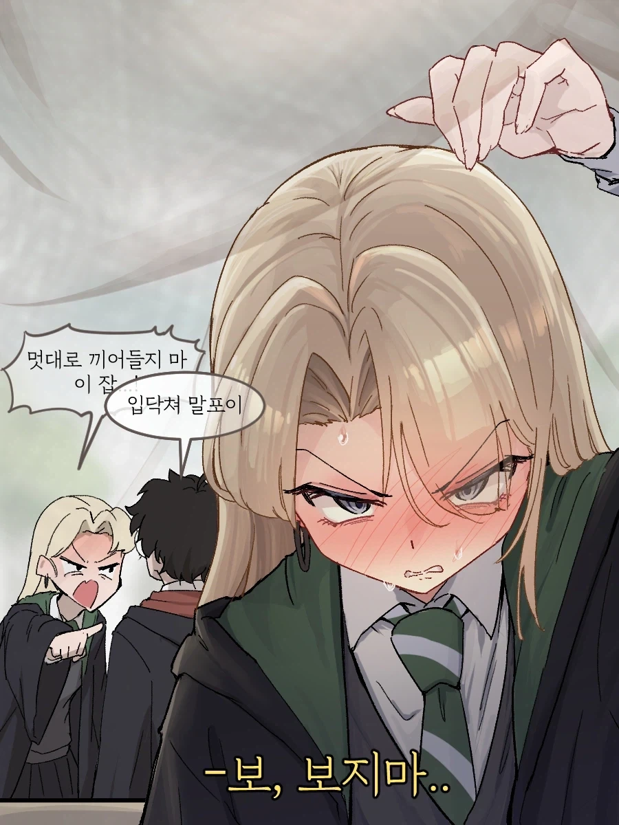 해리포터) 타임터너로 과거로 간 말포이양_4.webp