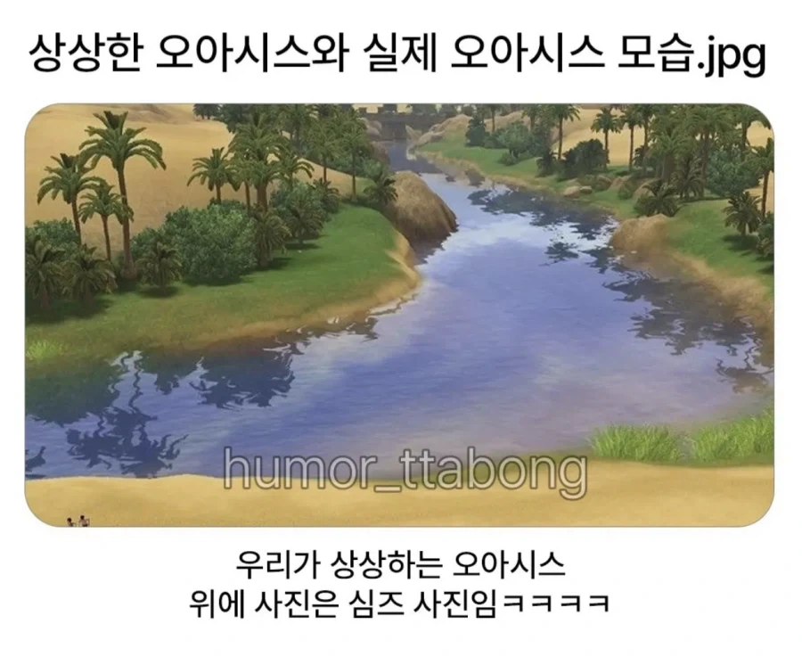 상상한 오아시스와 실제 오아시스 모습.jpg_1.webp