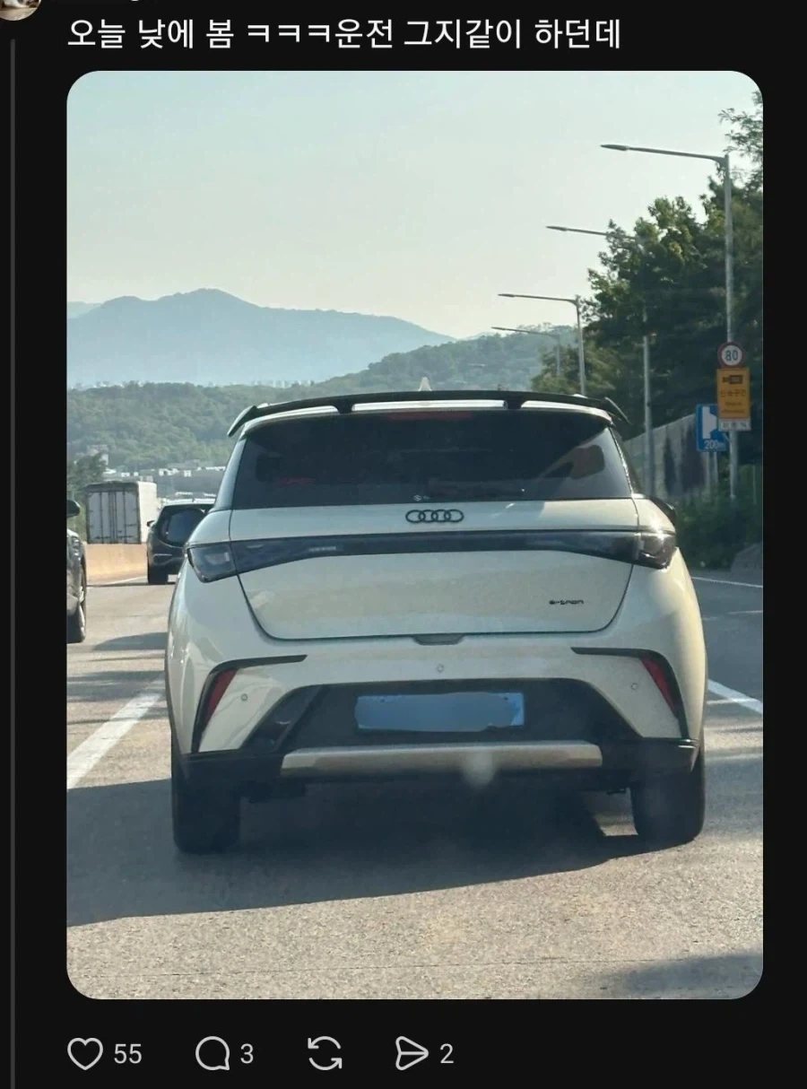 Byd 아우디 엠블렘 튜닝 차량을 본 현직 아우디 딜러_2.webp