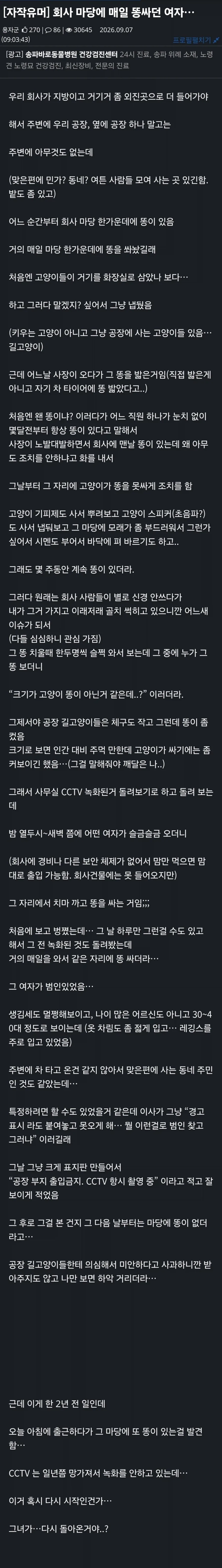 회사 마당에 매일 똥이 놓여있던 이야기_1.webp