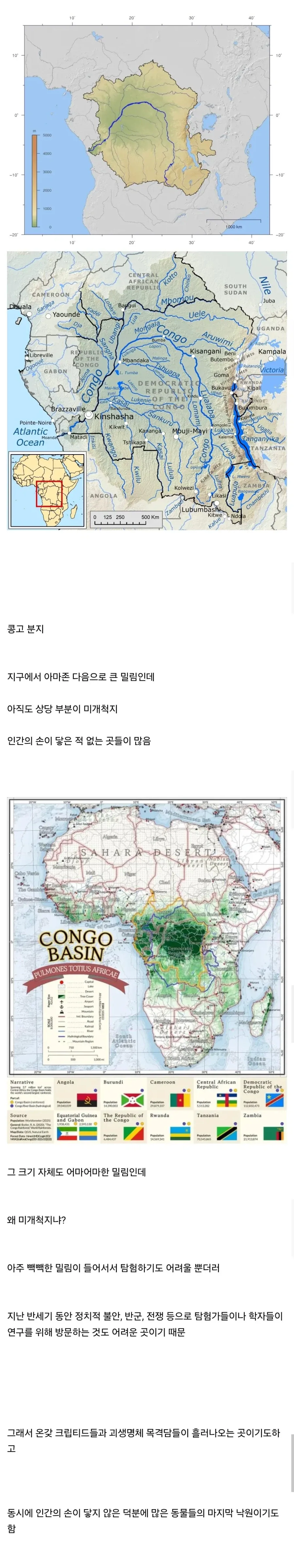 콩고 분지.jpg_1.webp