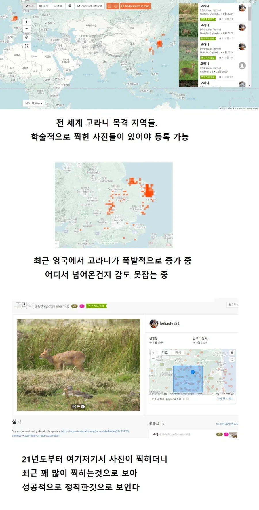 [수출] 고라니 수출 성공.jpg_1.webp