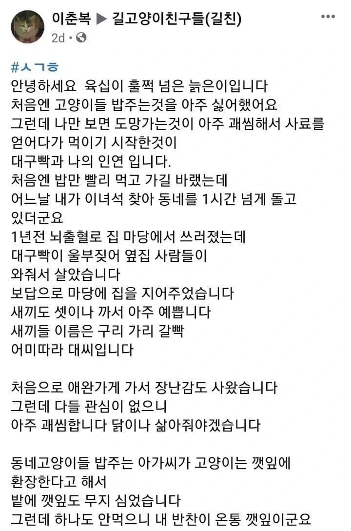 고양이의 은혜로 목숨 건진 60 넘은 할아버지._1.webp