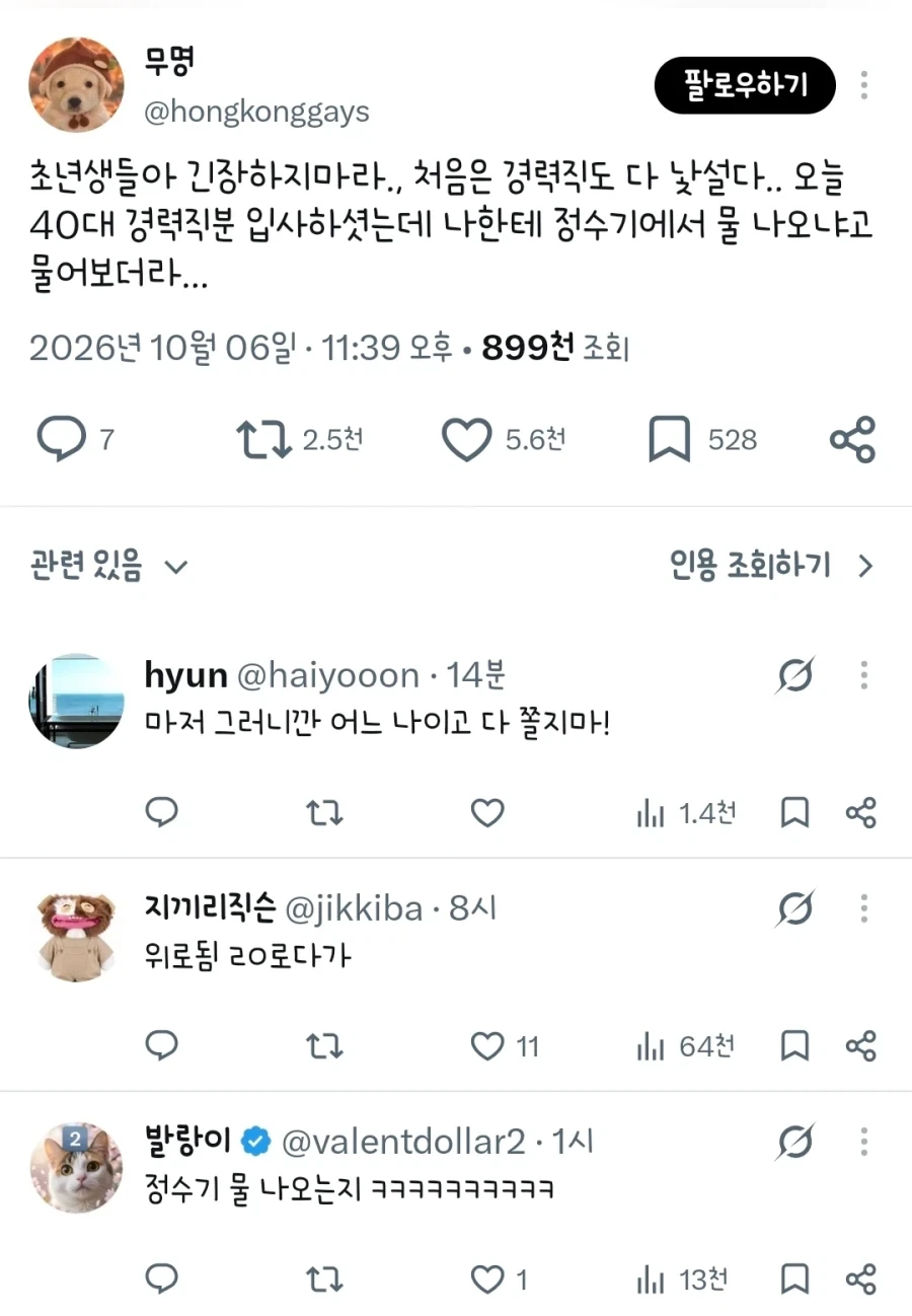 초년생들아 쫄지마_1.webp