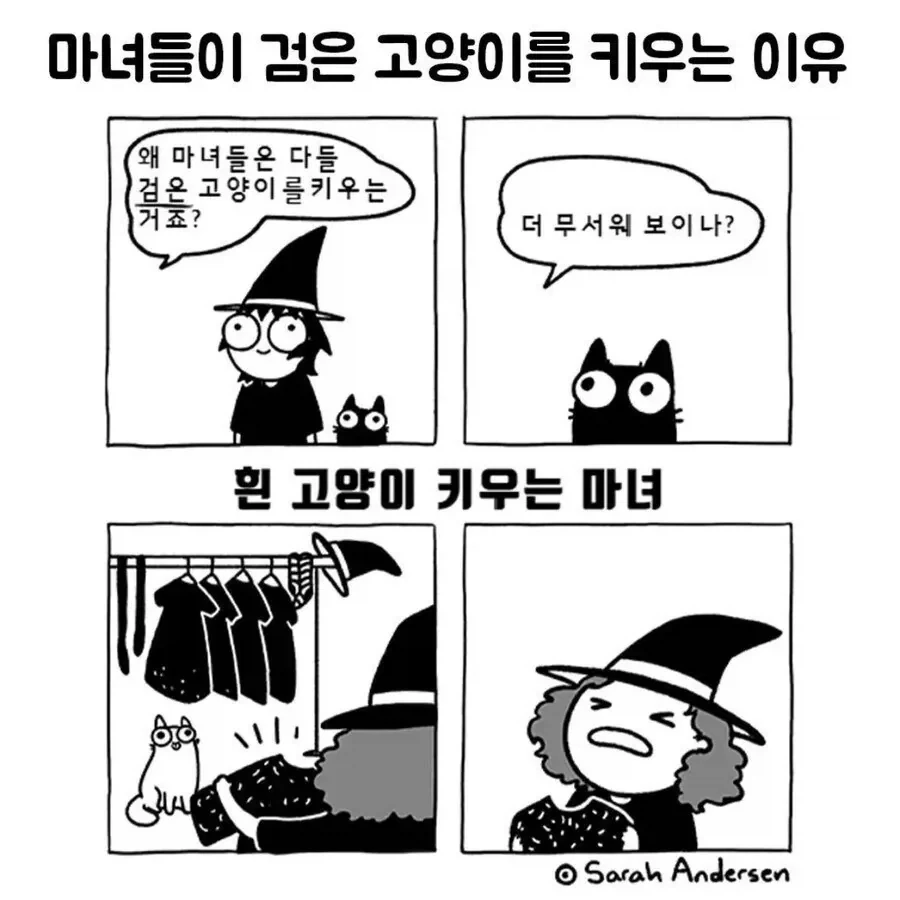 마녀들이 검은고양이를 키우는 이유.jpg_1.webp