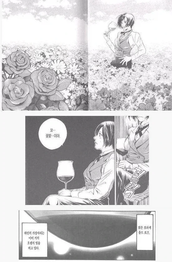 manga_76854877_bb62_002.webp