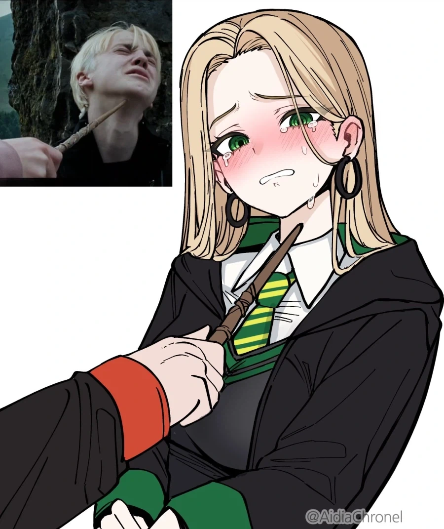 해리포터) 말포이 짤이 멈추지 않는다, 해리_1.webp