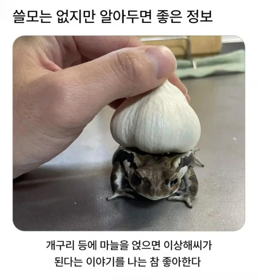 쓸모는없지만 알아두면 좋은정보_1.webp