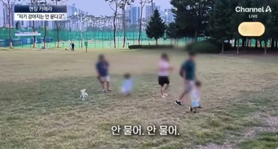 개빠년들은 여전히 ㅈ같은의미로 한결같네_1.webp
